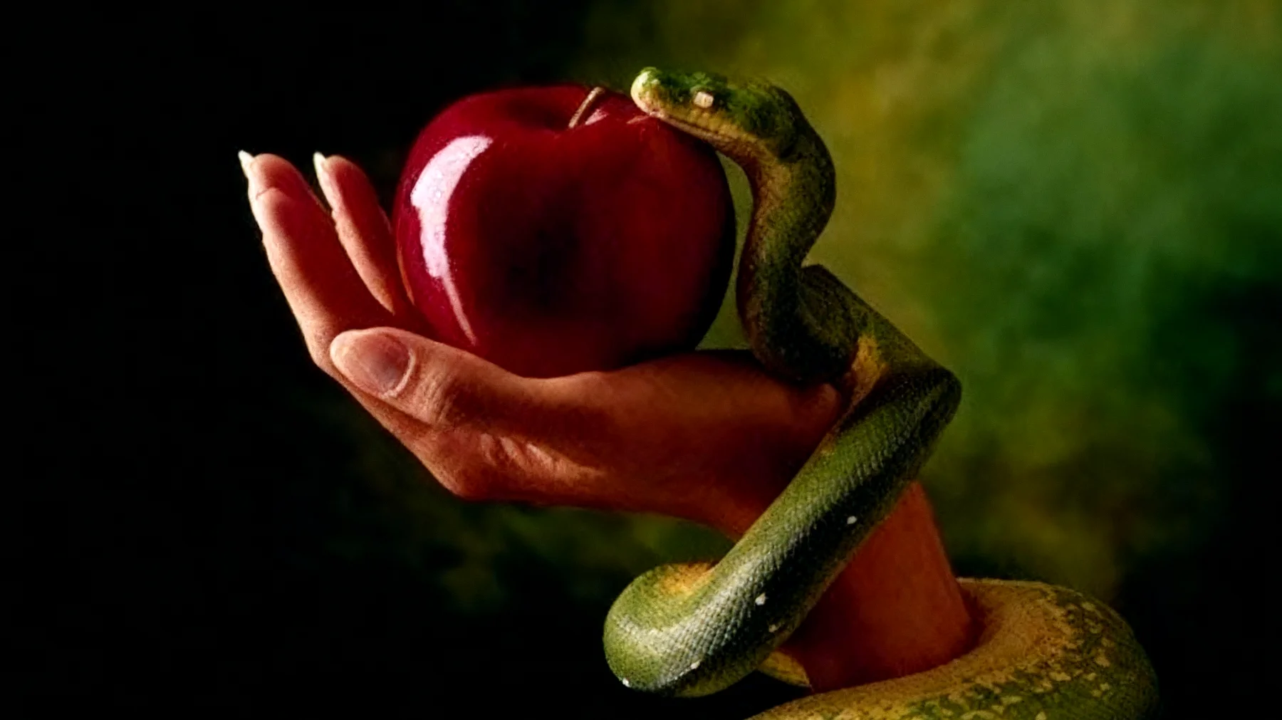 Forbidden Fruit2025-12-22T08:55:47.038Z"