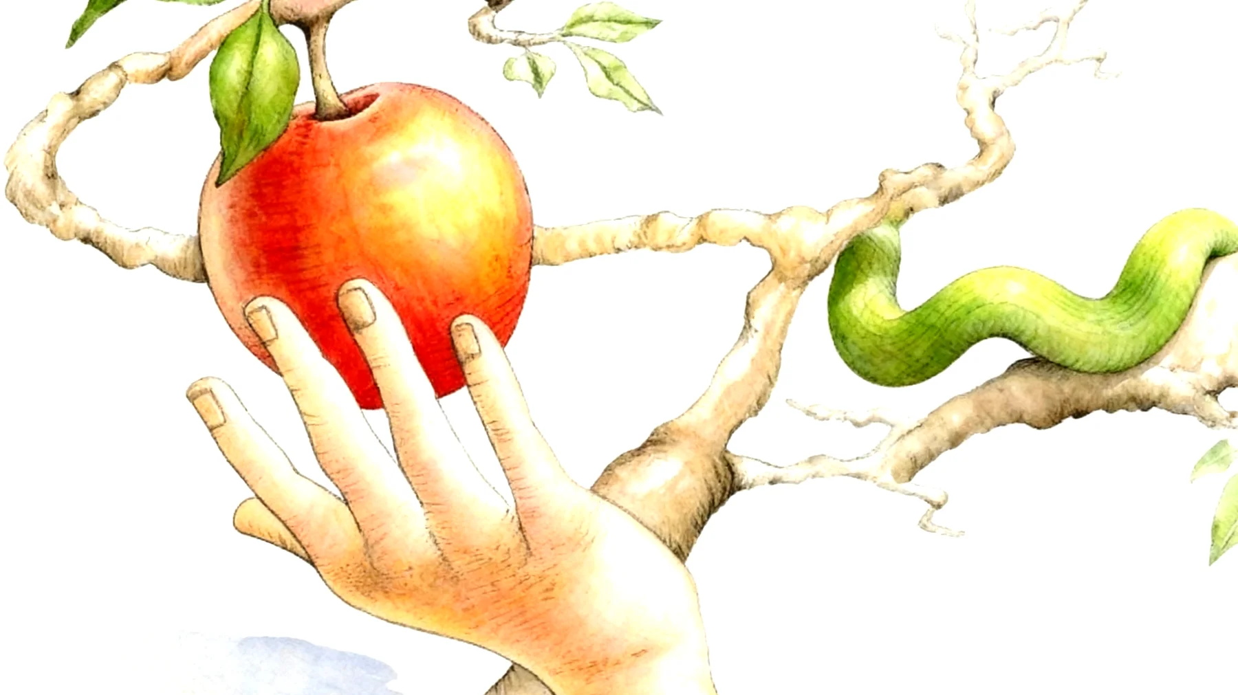 Forbidden Fruit2025-12-26T08:56:05.748Z"