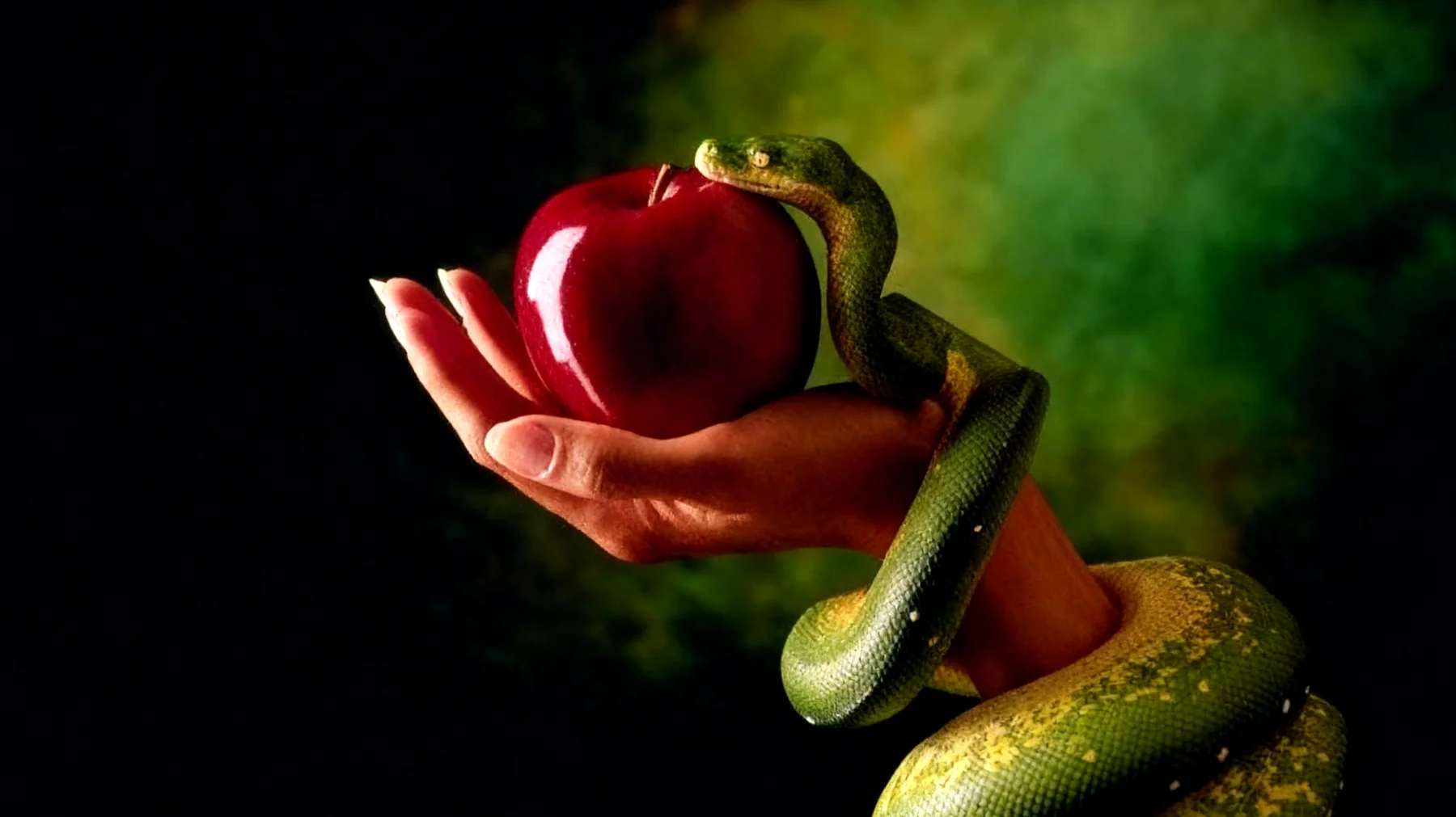 Forbidden Fruit2025-12-28T08:54:29.305Z"