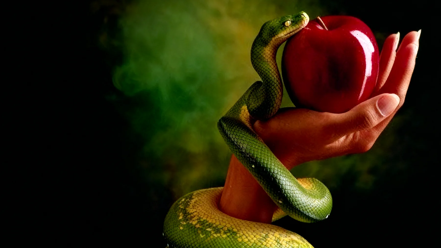 Forbidden Fruit2025-12-29T08:50:54.724Z"