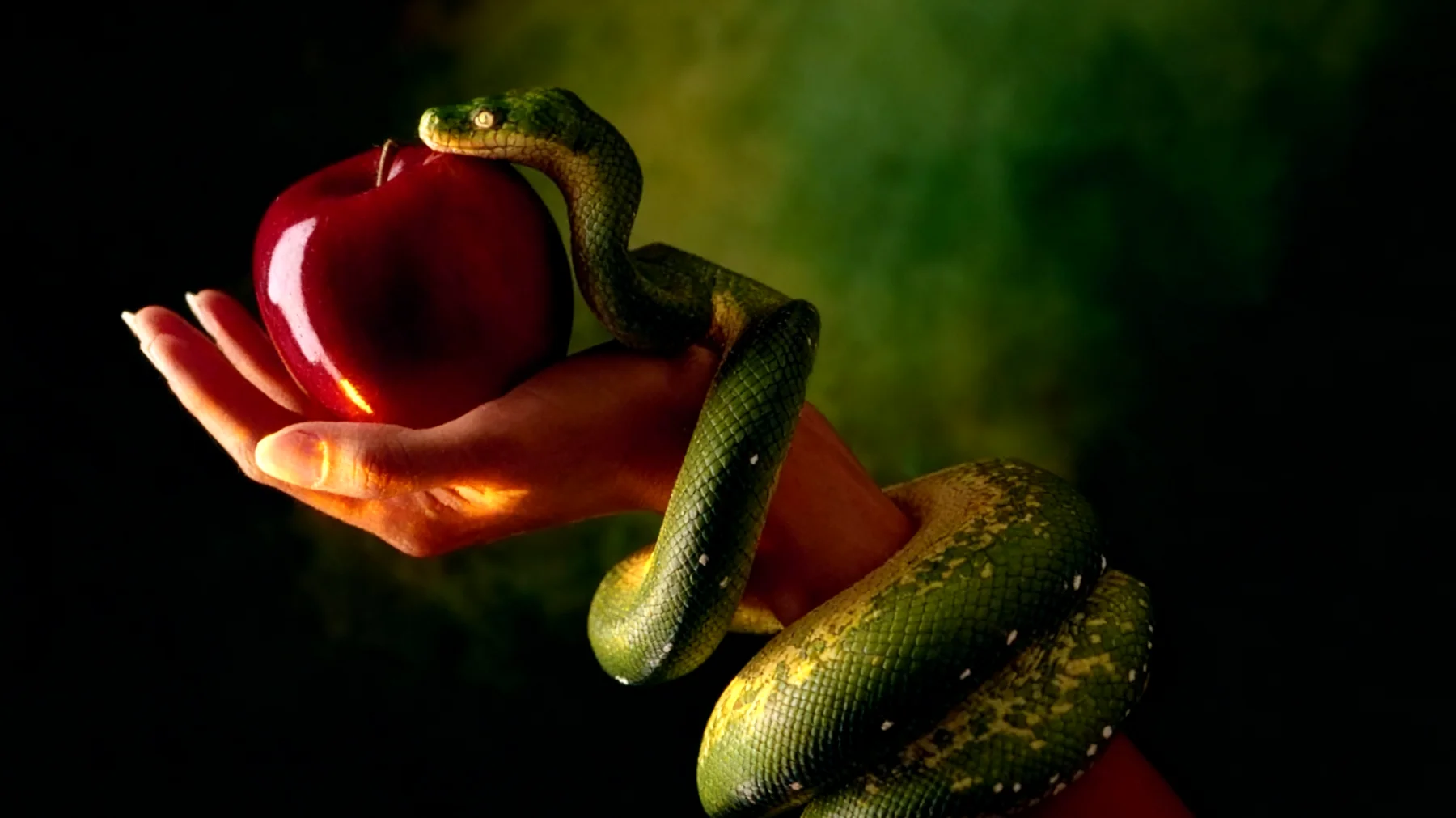 Forbidden Fruit2025-12-30T08:43:42.807Z"