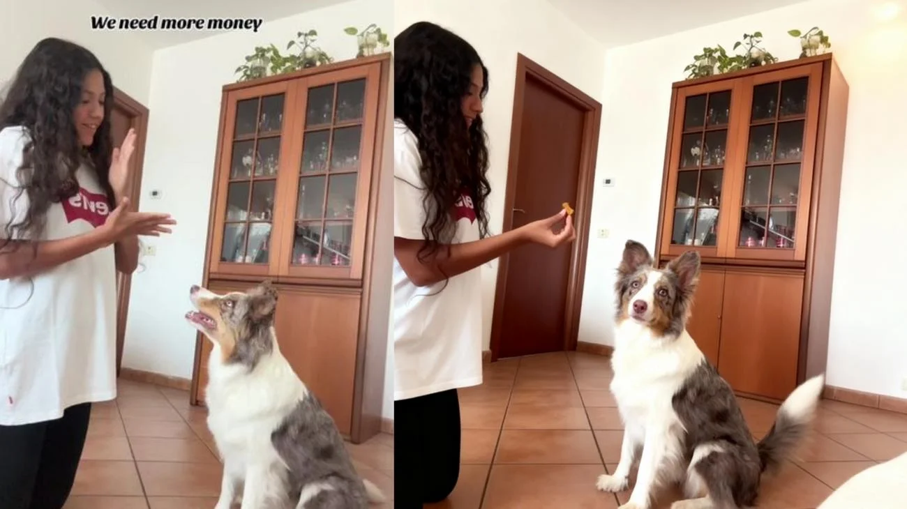 Sad story 😂💸 #trend #viral #dog"