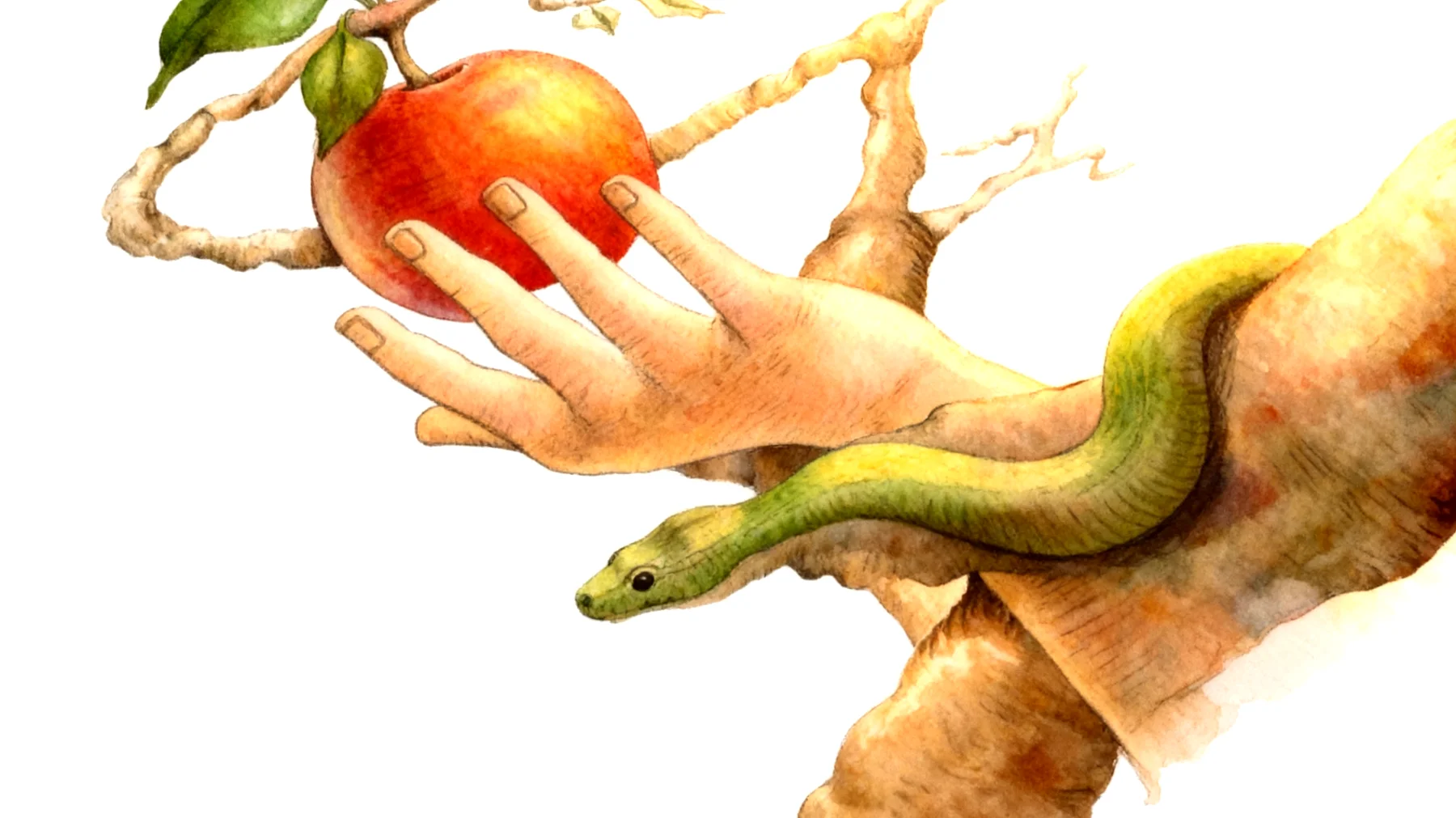 Forbidden Fruit2026-01-04T08:55:25.286Z"