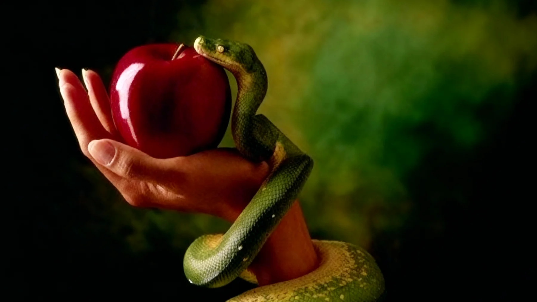 Forbidden Fruit2026-01-06T08:55:45.329Z"