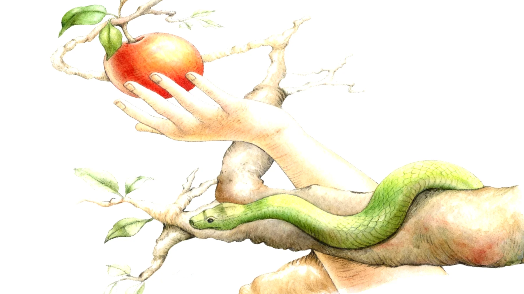 Forbidden Fruit2026-01-11T08:54:13.946Z"