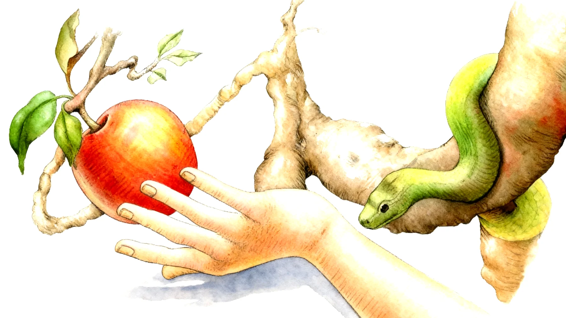 Forbidden Fruit2026-01-13T08:53:57.302Z"